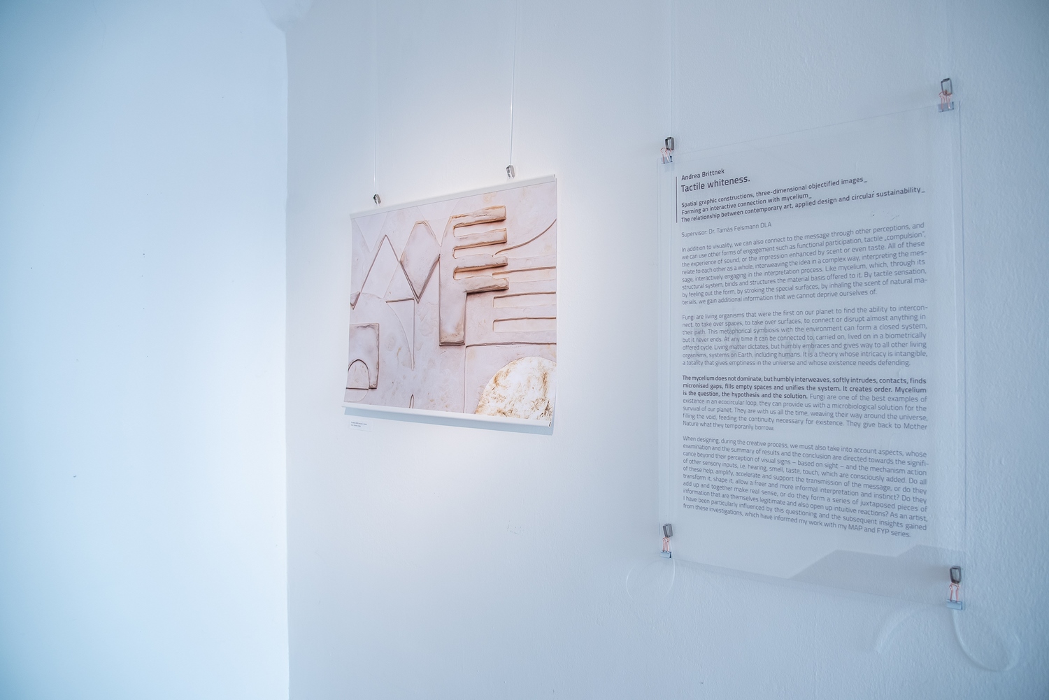 Tactile%20whiteness%20exhibition%20Budapest_2024_03_Andrea-Brittnek_Photo%20by%20Loos%20Panna%20-%201500x1001px.jpg