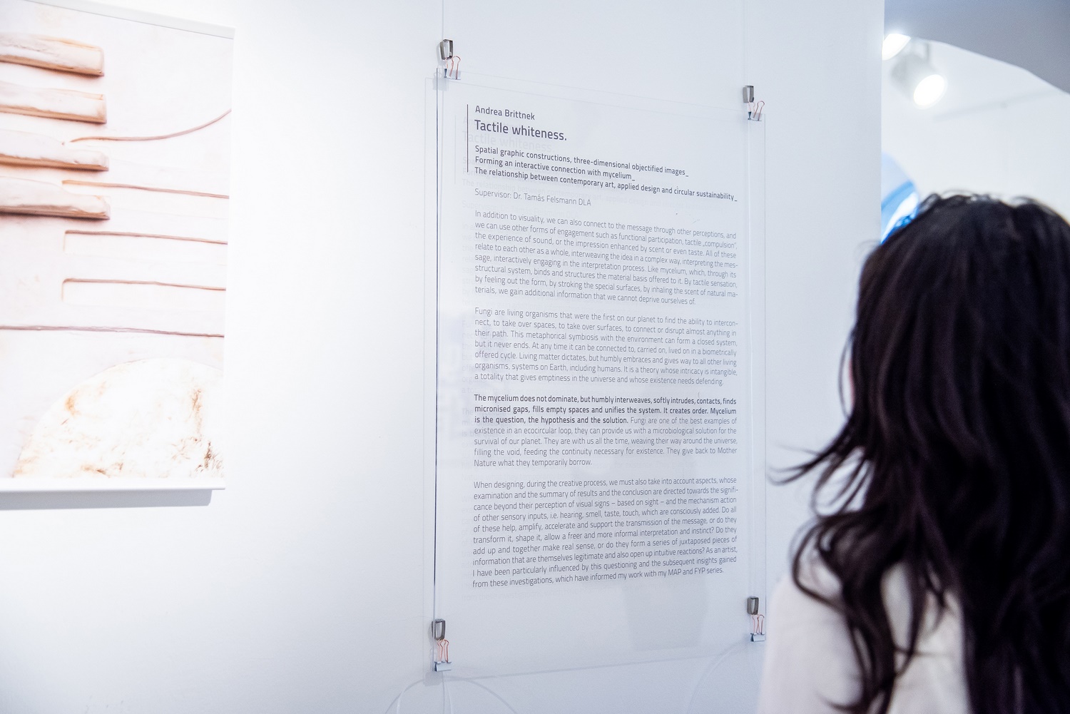 Tactile%20whiteness%20exhibition%20Budapest_2024_04_Andrea-Brittnek_Photo%20by%20Loos%20Panna%20-%201500x1001px.jpg