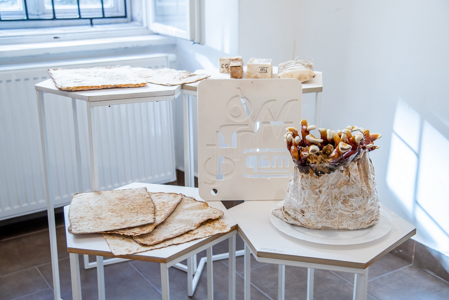 Tactile%20whiteness%20exhibition%20Budapest_2024_09_Andrea-Brittnek_Photo%20by%20Loos%20Panna%20-%201500x1001px.jpg